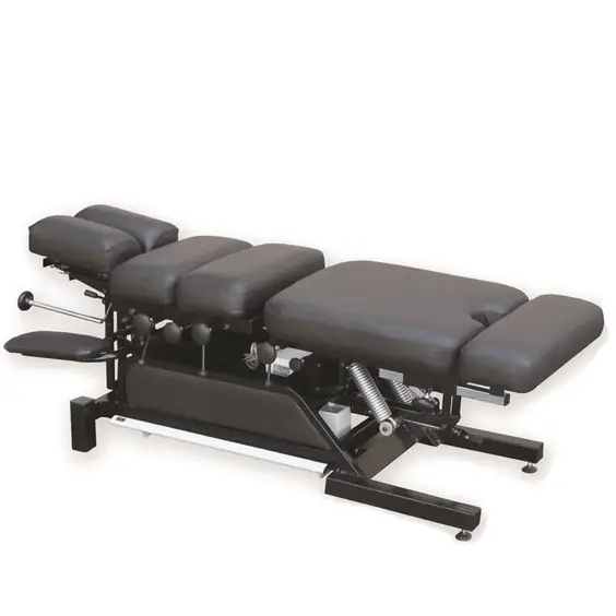 My Chiro, Dr. Aaron and Associates - Drop table manipulation