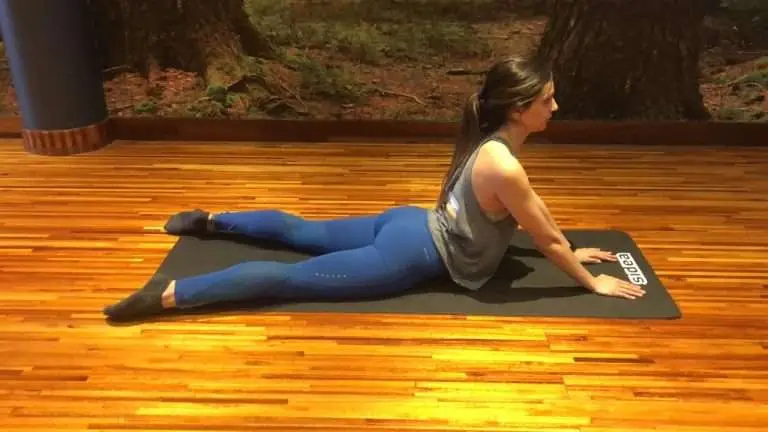 LOWER BACK (LUMBAR EXTENSIONS LYING)