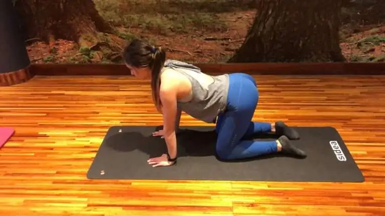 LOWER BACK (BIRD DOG)