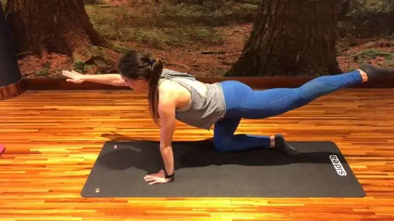 LOWER BACK (BIRD DOG)